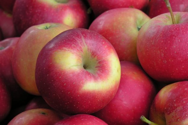 Nuova alleanza per la commercializzazione delle mele biologiche