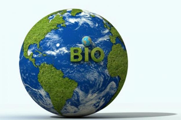 Il bio ha un ruolo chiave per la sostenibilità alimentare globale: lo studio