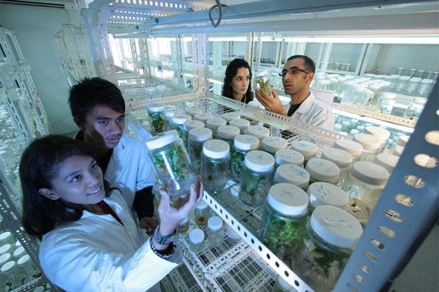 Il CREA, Centro di Ricerca Orticoltura e Florovivaismo, propone una giornata di incontro tra ricercatori e  operatori del settore interessati al biologico
