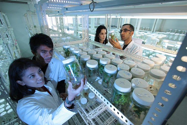 Il CREA, Centro di Ricerca Orticoltura e Florovivaismo, propone una giornata di incontro tra ricercatori e  operatori del settore interessati al biologico