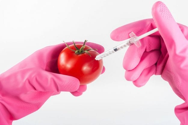 Corte di giustizia europea: Nuove tecniche di ingegneria genetica da regolamentare come OGM