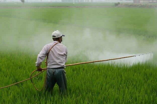USA: Monsanto in tribunale per la pericolosità dei suoi diserbanti