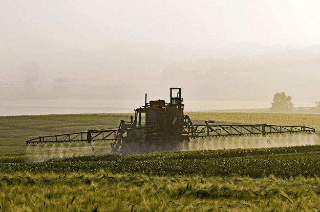 Monsanto: emergono dati falsi nei test di sicurezza