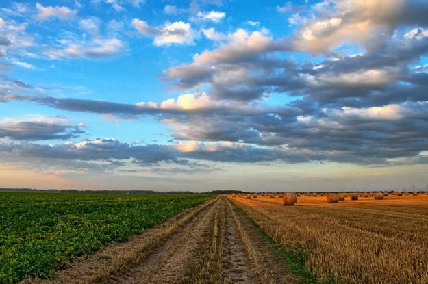 Progetto CLIFT: agricoltori e consumatori percepiscono gli effetti dei cambiamenti climatici? Il CNR-IBMET, in collaborazione con Suolo e Salute, propone un questionario conoscitivo.
