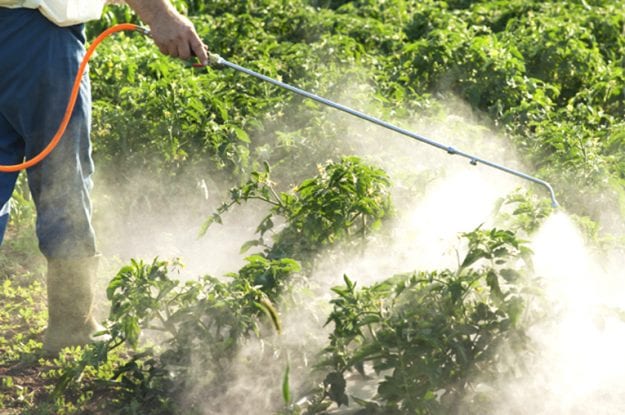 Caso Monsanto: danni da oltre 80.000 di dollari a Bayer