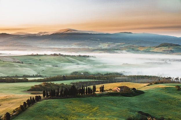 Toscana: misure straordinarie per il sostegno all’agricoltura bio