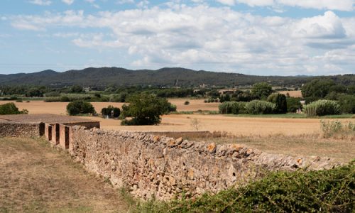 SICILIA PRIMA IN EUROPA PER LA LEGGE SULL’AGROECOLOGIA