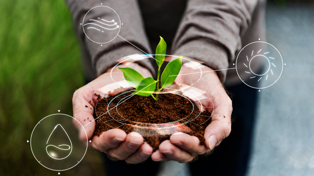 AGRICOLTURA BIOLOGICA RIGENERATIVA PER LA TRANSIZIONE ECOLOGICA