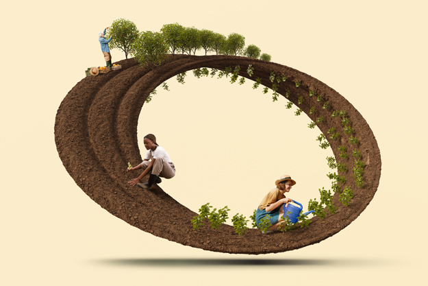 IL POTENZIALE DELL’AGRICOLTURA BIOLOGICA: PIÙ BIODIVERSITÀ, SUOLI FERTILI E MINORE IMPATTO AMBIENTALE