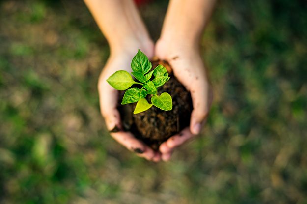 RICERCA SCIENTIFICA E INNOVAZIONE, PER UN AGROALIMENTARE SOSTENIBILE
